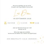 Geboortekaartje silhouet met grote broer bij wiegje broertje 3