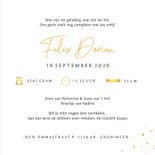 Geboortekaartje silhouet wieg grote zus babybroertje 3