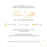 Geboortekaartje silhouet zus bij wiegje babyzusje 3