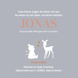 Geboortekaartje slee met zusjes en baby jongen 3