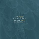 Geboortekaartje stijlvol blauw met veren 2