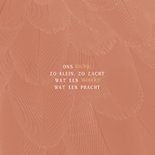 Geboortekaartje stijlvol terra met veren 2