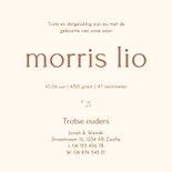 Geboortekaartje trommel stokjes muzieknootjes groen 3