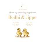 Geboortekaartje tweeling eendjes lief goud hartjes 3