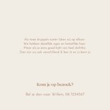 Geboortekaartje tweeling in kruiwagen met zusje  2