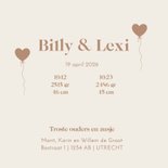 Geboortekaartje tweeling in kruiwagen met zusje  3