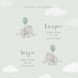 Geboortekaartje tweeling met olifantjes en ballonnen 3