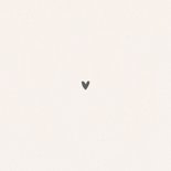 Geboortekaartje tweeling met twee paar kleine schoentjes Achterkant