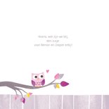 Geboortekaartje uiltje twee broertjes 2