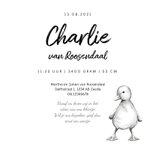 Geboortekaartje unisex met schattig geïllustreerd eendje 3