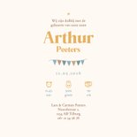 Geboortekaartje vintage luchtballon dieren sterren wolkjes 3