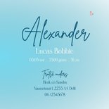 Geboortekaartje vogeltje 3