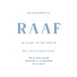 Geboortekaartje voor een broertje met lieve vogeltjes 3