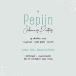 Geboortekaartje vosje broertje vlaggetjes dieren verf 3