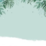 Geboortekaartje welpje leeuw jungle bladeren illustratie Achterkant