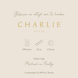 Geboortekaartje zoon met vosje, musje en paddenstoeltjes 3