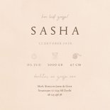 Geboortekaartje zus met illustratie baby in mandje 3