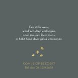 Geboortekaartje zus met kruiwagen goudlook 2