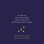 Geboortekaartje zus met kruiwagen goudlook 2