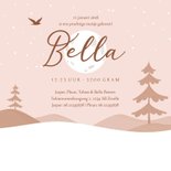 Geboortekaartje zusje broer winter slee sneeuw silhouet maan 3