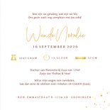 Geboortekaartje zusje in wiegje met grote zus en broer 3