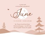 Geboortekaartje zusje silhouetjes kruiwagen natuur bomen 3