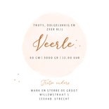 Geboortekaartje zusjes in houten bakfiets watercolor 3