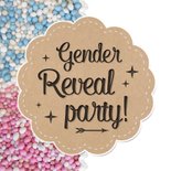 Gender reveal party uitnodiging met roze en blauwe muisjes 2