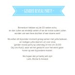 Gender reveal party uitnodiging met roze en blauwe muisjes 3