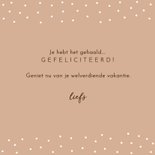 Geslaagd kaart cap terra 3