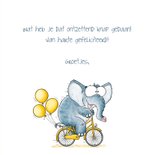 Geslaagd kaart olifant op de fiets "Olifantastisch!" 3