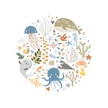 Geslaagd voor zwemdiploma B met zeedieren 2