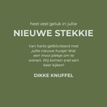 Grappig felicitatiekaartje nieuwe stekkie groen met bloemen 3