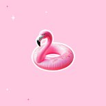 Grappig vakantiekaartje flamingo fijne vakantie 2