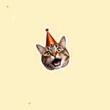 Grappig verjaardagskaartje met katten happy birthday 2