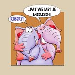 Grappige beterschapskaart met olifanten die je beterschap... 3