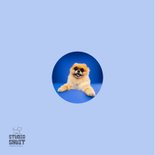 Grappige felicitatiekaart pensioen hondje en zonnebril 2