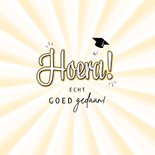 Grappige handlettering geslaagd kaart illustratie dolfijn 2
