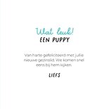 Grappige kaart puppy van hond blauwe speen en slabbetje 3