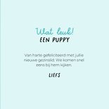 Grappige kaart puppy van hond blauwe speen en slabbetje 3
