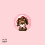 Grappige kaart voor puppy van hond met roze speen en mutsje 2