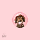 Grappige kaart voor puppy van hond met roze speen en mutsje 2