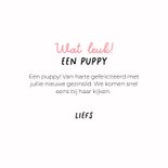 Grappige kaart voor puppy van hond met roze speen en mutsje 3