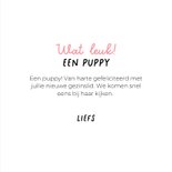 Grappige kaart voor puppy van hond met roze speen en mutsje 3