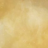 Grappige kerstkaart met grote foto verstuurd door je hond  Achterkant