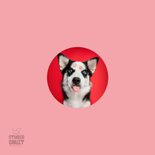 Grappige liefdeskaart van hond met tong en kusjes op vacht 2