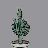 Grappige sorry kaart met verdrietige cactus in pot 2