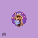 Grappige verjaardagskaart van hond met lolly en slingers 2