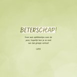 Groene beterschapskaart met kikkers 3