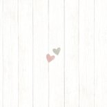 Jubileum 25 zilveren hartjes Achterkant